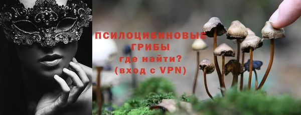 гидра Алексин